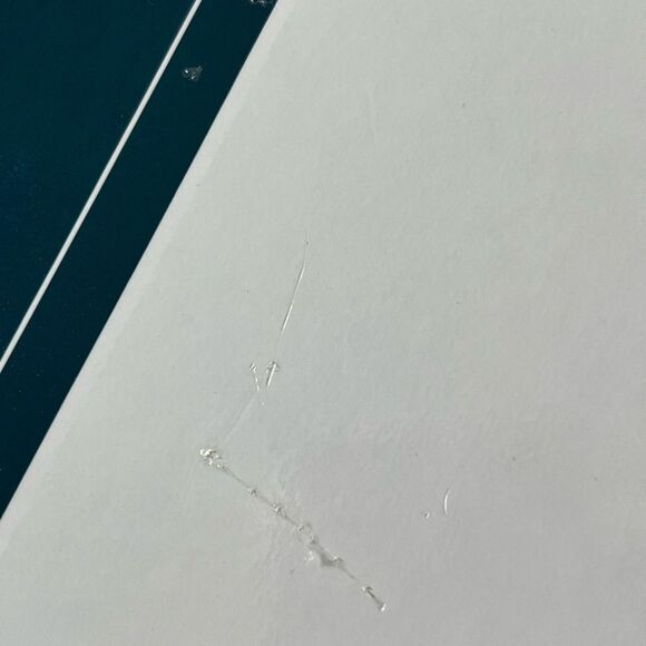 Golden Throated Humming Bird John Gould Set of 2 Corkboard Placemats - Picture 4 of 4